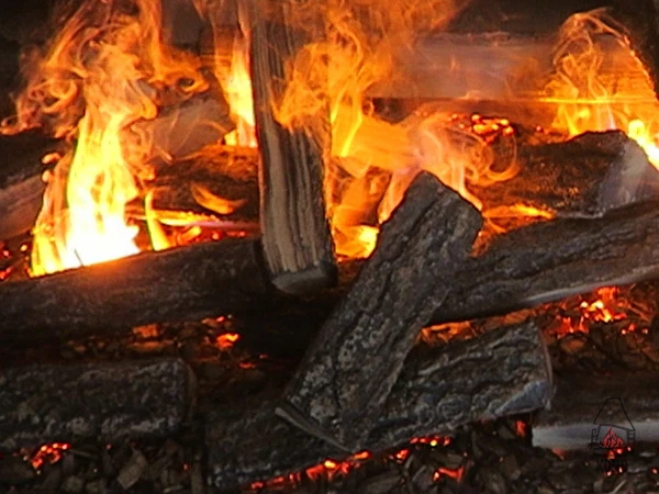 Efekt płomienia w kominku DIMPLEX TRITON